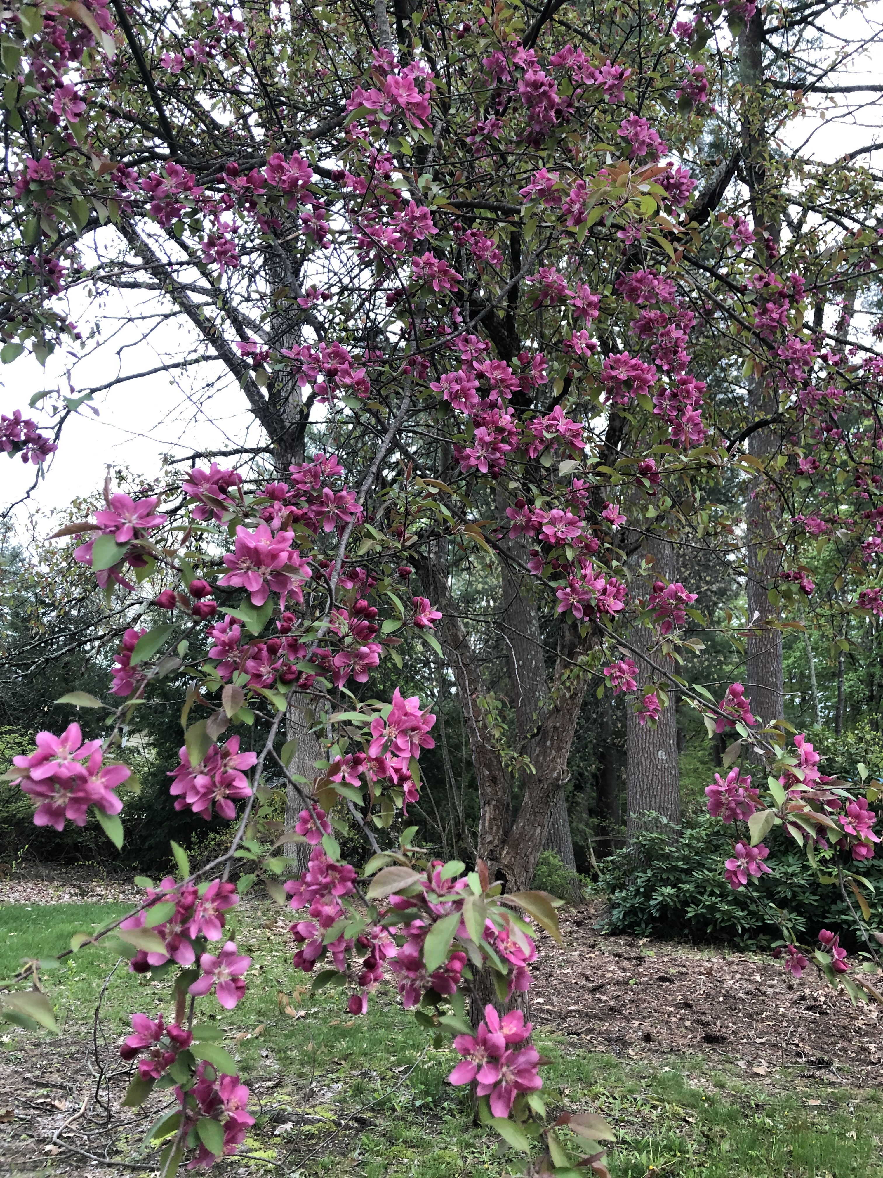 April Newsletter